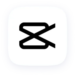 CapCut lisans kategorisi